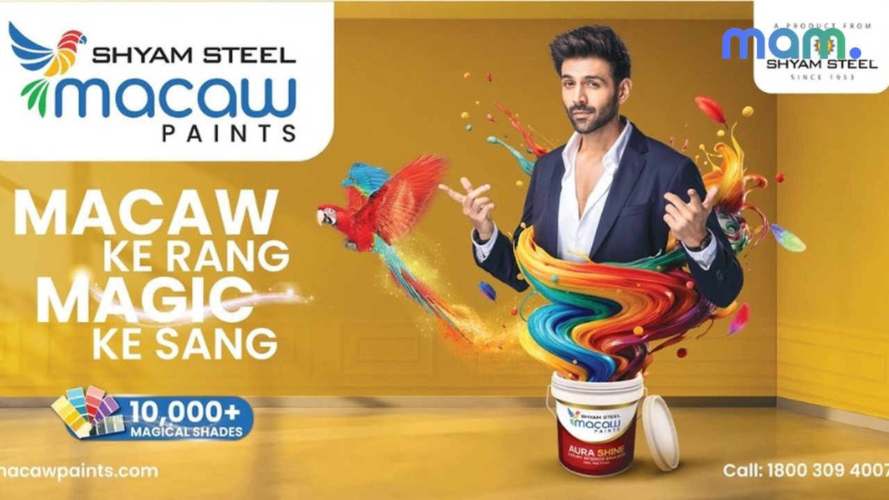 Macaw Paints Kartik Aaryan Genie festive colour campaign — mam mark