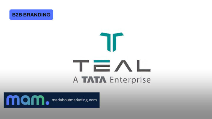 TEAL rebrands after serving more than 150 clients